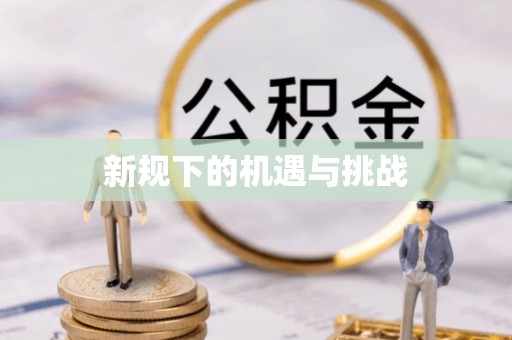 朔城新规下的机遇与挑战