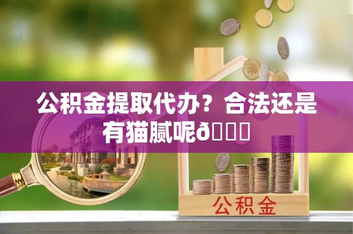 朔城公积金提取代办？合法还是有猫腻呢😏