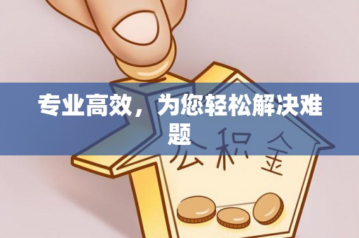 朔城专业高效，为您轻松解决难题